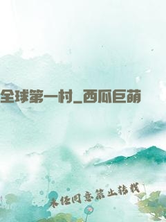 全球第一村