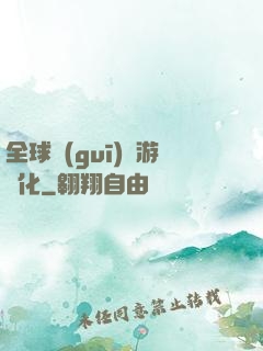 全球規(guī)則游戲化