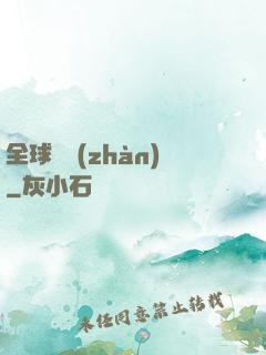 全球論戰(zhàn)