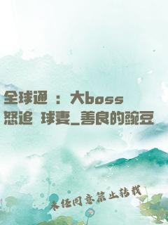 全球通緝：大boss怒追帶球妻