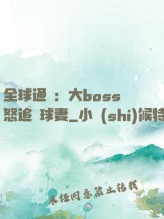 全球通緝：大boss怒追帶球妻