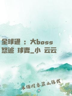 全球通緝：大boss怒追帶球妻