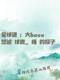 全球通緝：大boss怒追帶球妻