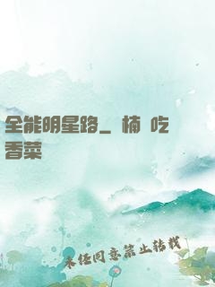 全能明星路