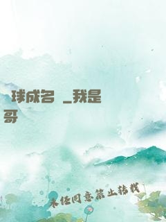 兩球成名記