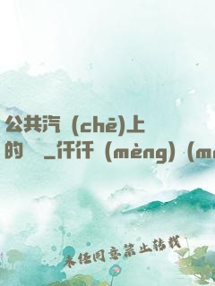 公共汽車(chē)上的輪桿