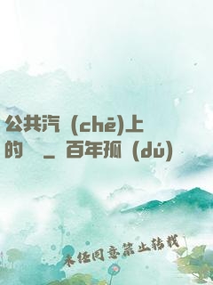 公共汽車(chē)上的輪桿