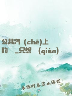 公共汽車(chē)上的輪桿