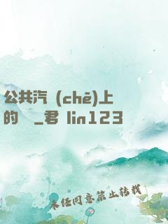 公共汽車(chē)上的輪桿