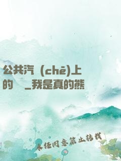 公共汽車(chē)上的輪桿