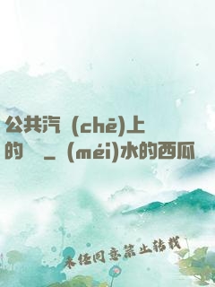 公共汽車(chē)上的輪桿