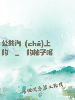 公共汽車(chē)上的輪桿