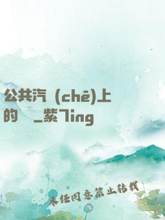 公共汽車(chē)上的輪桿