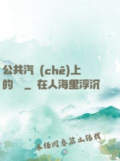 公共汽車(chē)上的輪桿