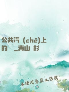 公共汽車(chē)上的輪桿