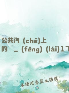 公共汽車(chē)上的輪桿