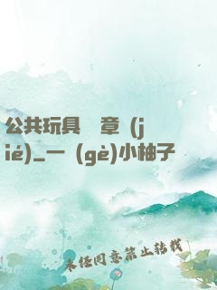 公共玩具閱讀章節(jié)