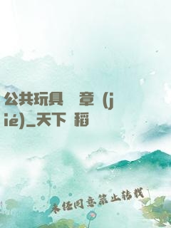 公共玩具閱讀章節(jié)