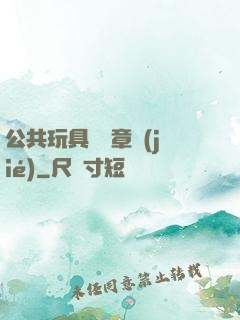 公共玩具閱讀章節(jié)