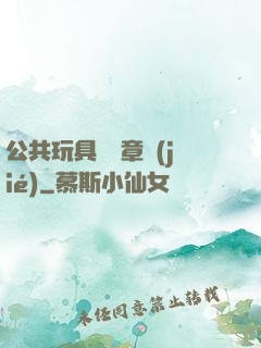 公共玩具閱讀章節(jié)