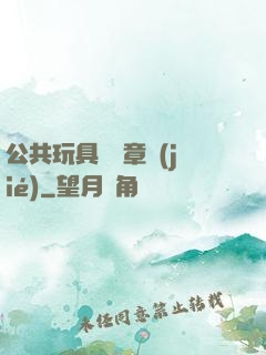公共玩具閱讀章節(jié)