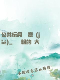 公共玩具閱讀章節(jié)