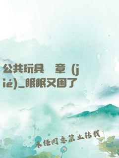 公共玩具閱讀章節(jié)