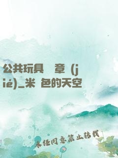 公共玩具閱讀章節(jié)