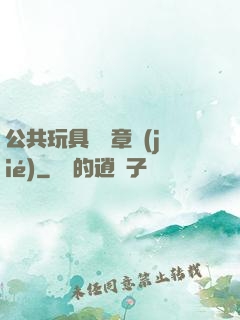 公共玩具閱讀章節(jié)