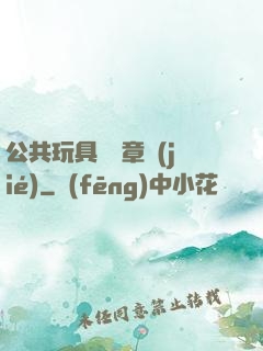 公共玩具閱讀章節(jié)