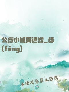 公府小姐要退婚