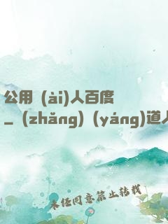 公用愛(ài)人百度