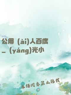 公用愛(ài)人百度