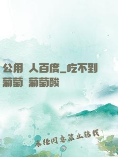 公用愛人百度