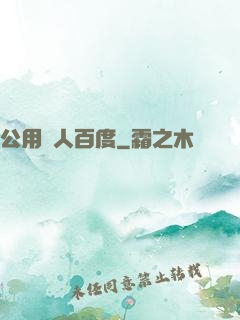 公用愛人百度