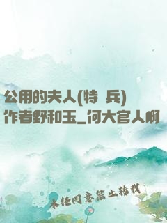 公用的夫人(特種兵)作者野和玉
