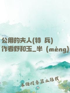 公用的夫人(特種兵)作者野和玉