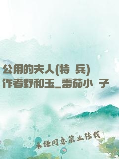 公用的夫人(特種兵)作者野和玉