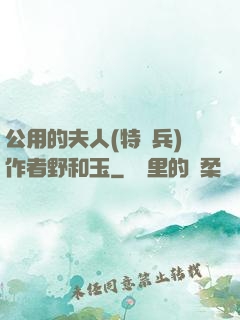 公用的夫人(特種兵)作者野和玉