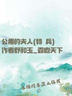 公用的夫人(特種兵)作者野和玉