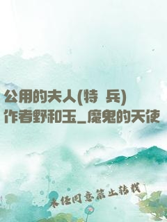 公用的夫人(特種兵)作者野和玉
