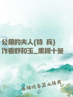 公用的夫人(特種兵)作者野和玉