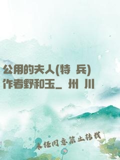 公用的夫人(特種兵)作者野和玉