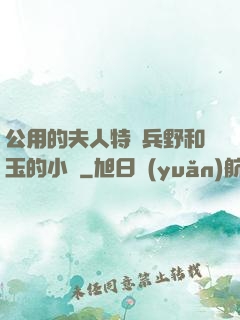 公用的夫人特種兵野和玉的小說