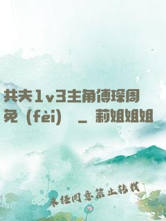 共夫1v3主角傅琛周免費(fèi)閱讀