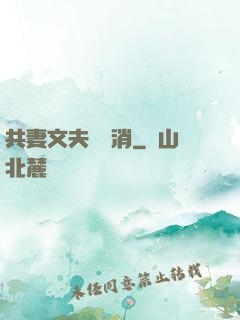 共妻文夫寵難消