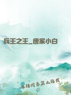 兵王之王