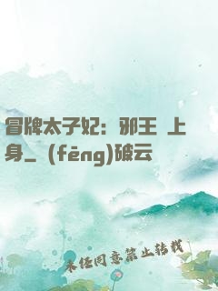 冒牌太子妃：邪王寵上身
