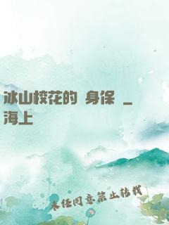 冰山?；ǖ馁N身保鏢
