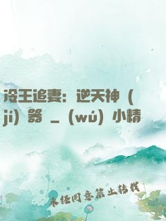 冷王追妻：逆天神級(jí)煉器師